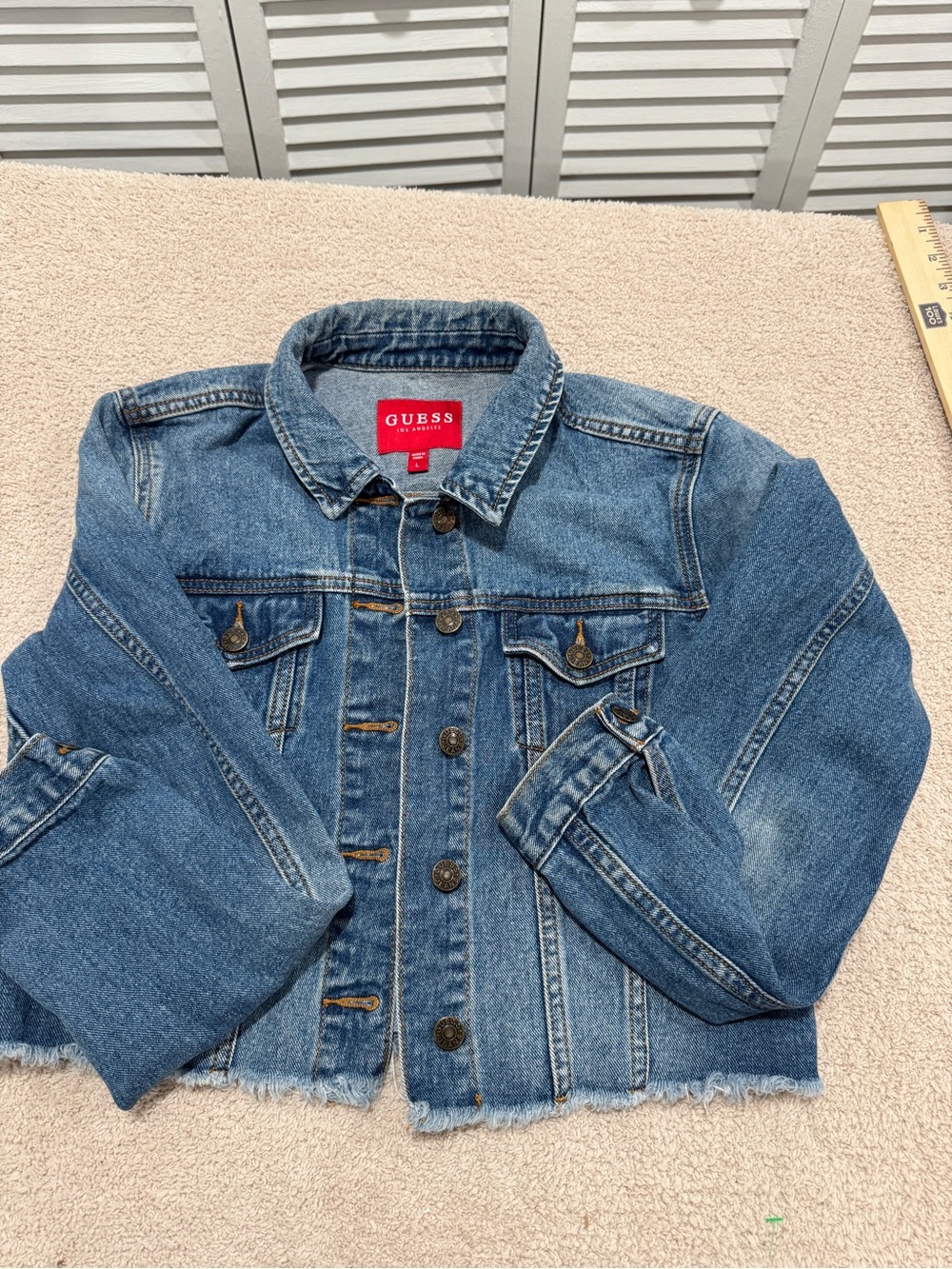 Guess Cropped Denim Jacket L Blue Distressed Hem DREAM ON Graphic Back